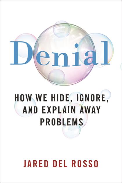 Denial：How We Hide, Ignore, and Explain Away Problems