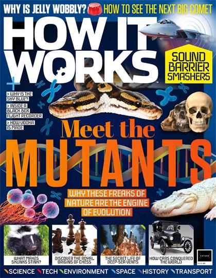 万物（How It Works）第167期