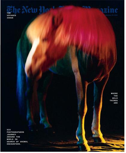 纽约时报杂志（The New York Times Magazine）2022年9月25日