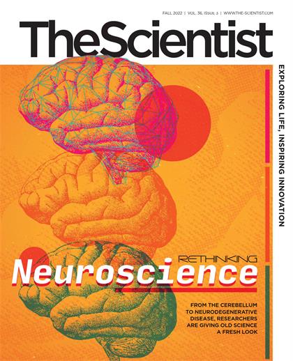 科学家（The Scientist）2022年秋季刊