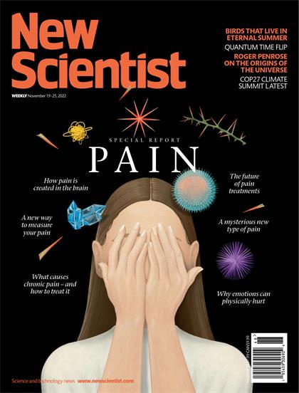 新科学家（New Scientist）2022年11月19日