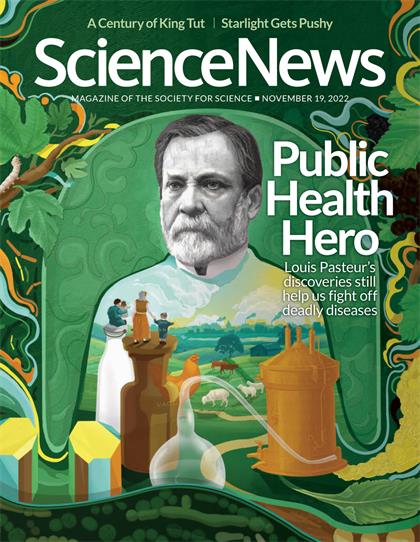 科学新闻（ScienceNews）2022年11月19日