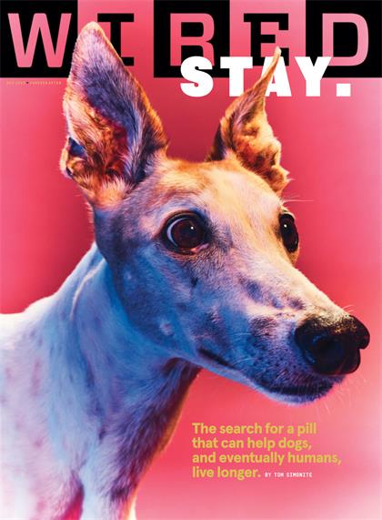 【美国版】连线（Wired）2022年11月