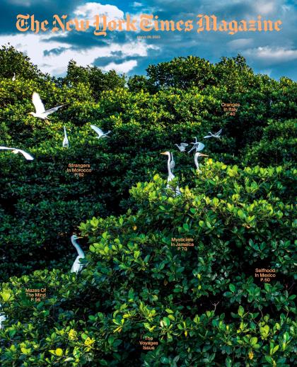 纽约时报杂志（The New York Times Magazine）2023年3月26日