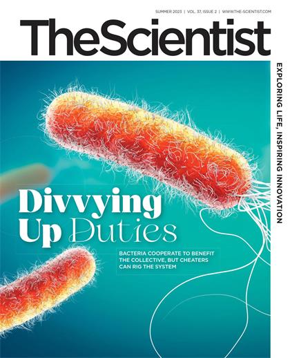 科学家（The Scientist）2023年夏季刊
