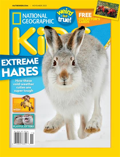 【美国版】美国国家地理少儿版（National Geographic Kids）2023年11月