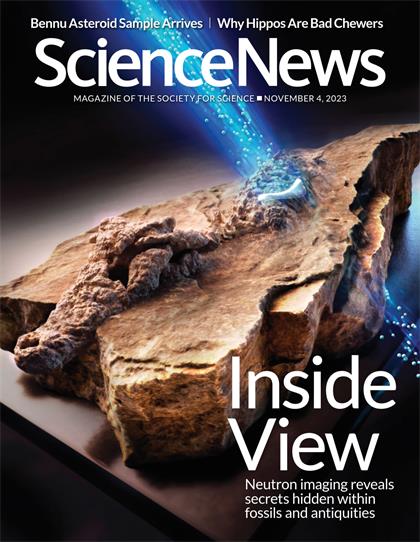 科学新闻（ScienceNews）2023年11月4日