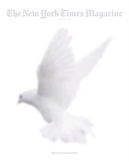 纽约时报杂志（The New York Times Magazine）2023年11月26日