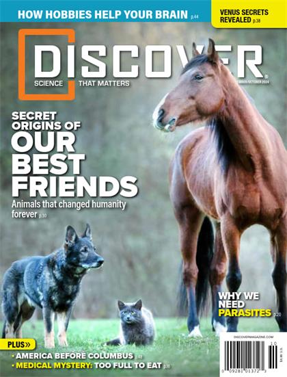 发现（Discover）2024年9-10月