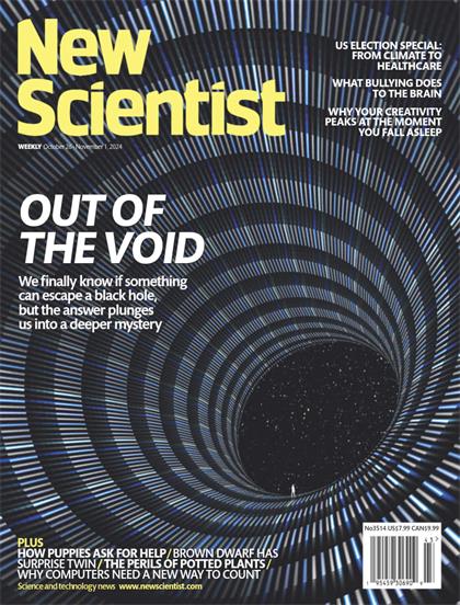 新科学家（New Scientist）2024年10月26日