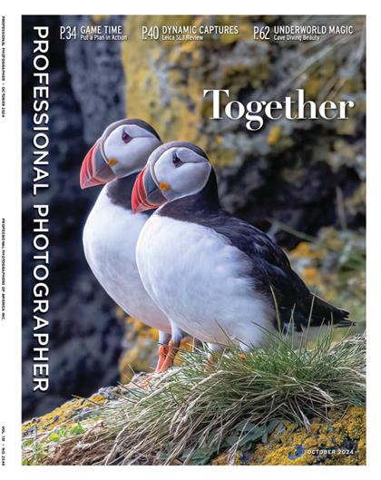 专业摄影师（Professional Photographer）2024年10月