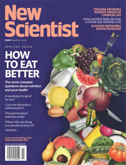 新科学家（New Scientist）2024年11月2日