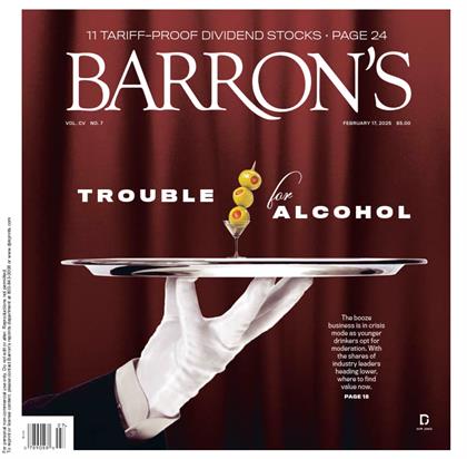 巴伦周刊（Barron’s）2025年2月17日