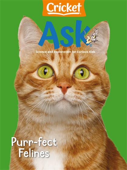 蟋蟀杂志（Cricket）之《千奇百问》2025年2月