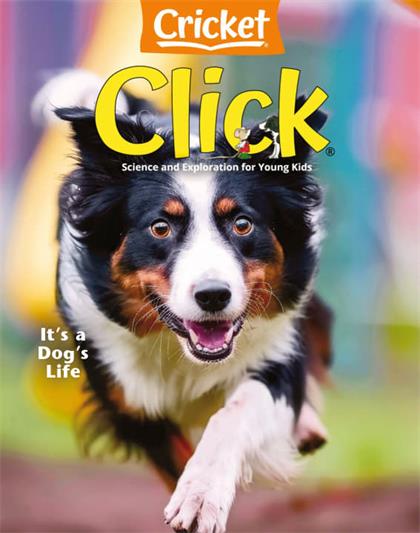 蟋蟀杂志（Cricket）之《点击世界》2025年2月