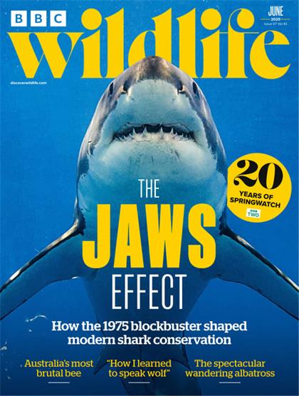 BBC野生动物（BBC Wildlife）2025年6月