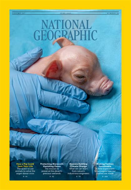 【美国版】美国国家地理（National Geographic）2025年6月