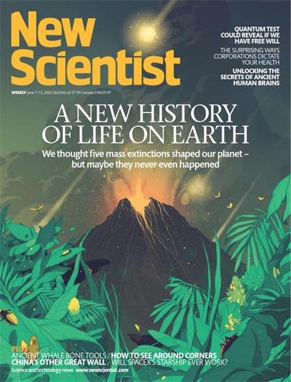 新科学家（New Scientist）2025年6月7日