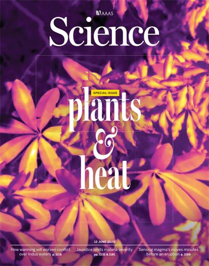 科学（Science）2025年6月12日