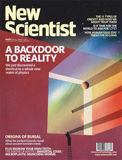 新科学家（New Scientist）2025年7月26日