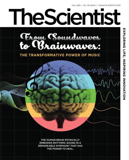 科学家（The Scientist）2025年秋季刊