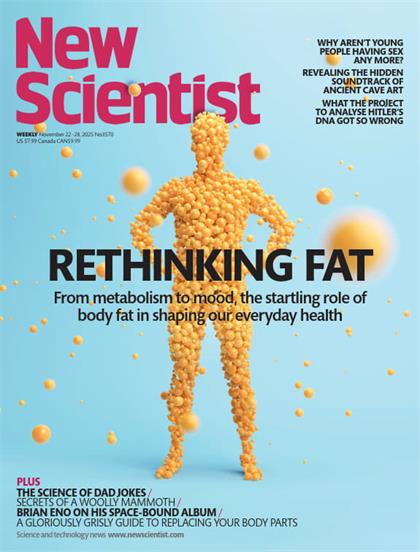 新科学家杂志（New Scientist）2025年11月22日