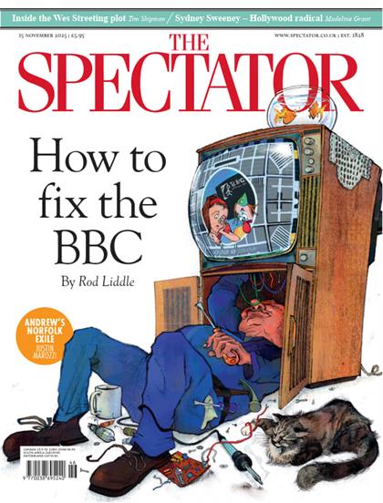 观察者（The Spectator）2025年11月15日