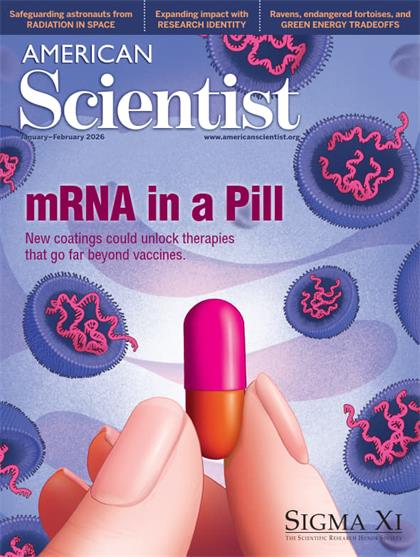 美国科学家（American Scientist）2026年1-2月