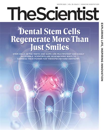科学家（The Scientist）2025年冬季刊