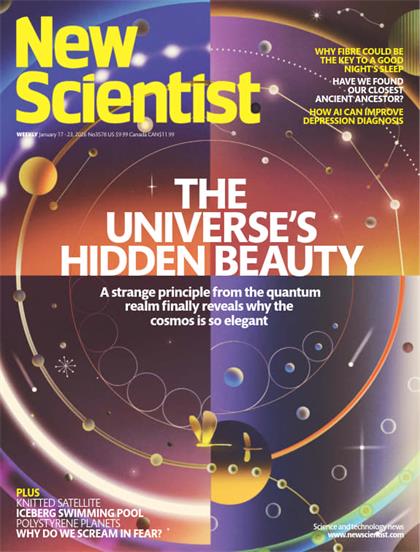 新科学家杂志（New Scientist）2026年1月17日