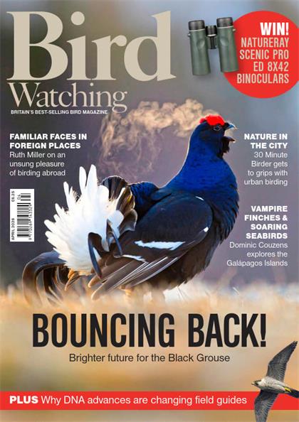 观鸟杂志(Bird Watching)2026年4月