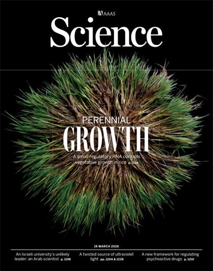 科学杂志（Science）2026年3月19日