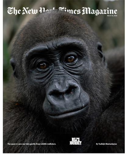纽约时报杂志（The New York Times Magazine）2026年3月15日