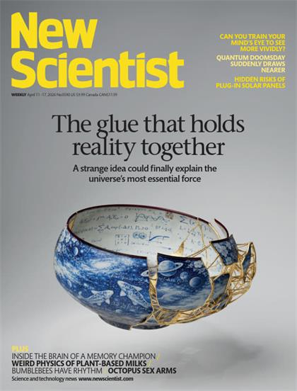 新科学家杂志（New Scientist）2026年4月11日