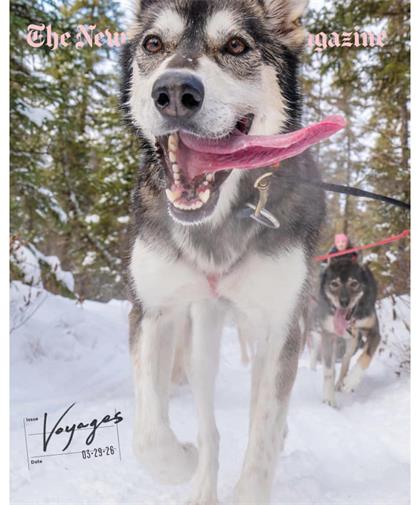 纽约时报杂志(The New York Times Magazine)2026年3月29日