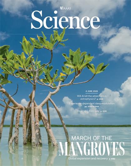 科学杂志（Science）2026年6月4日